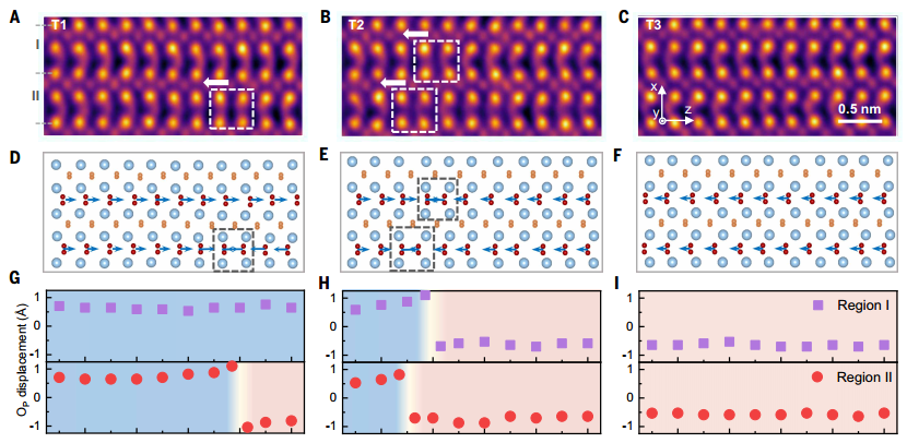 1769390837699365.png 1769390837699365.png