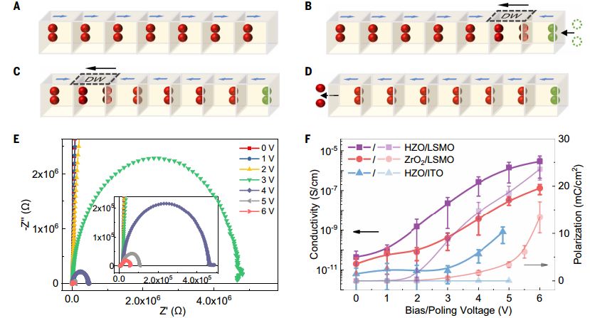 1769390848762906.png 1769390848762906.png