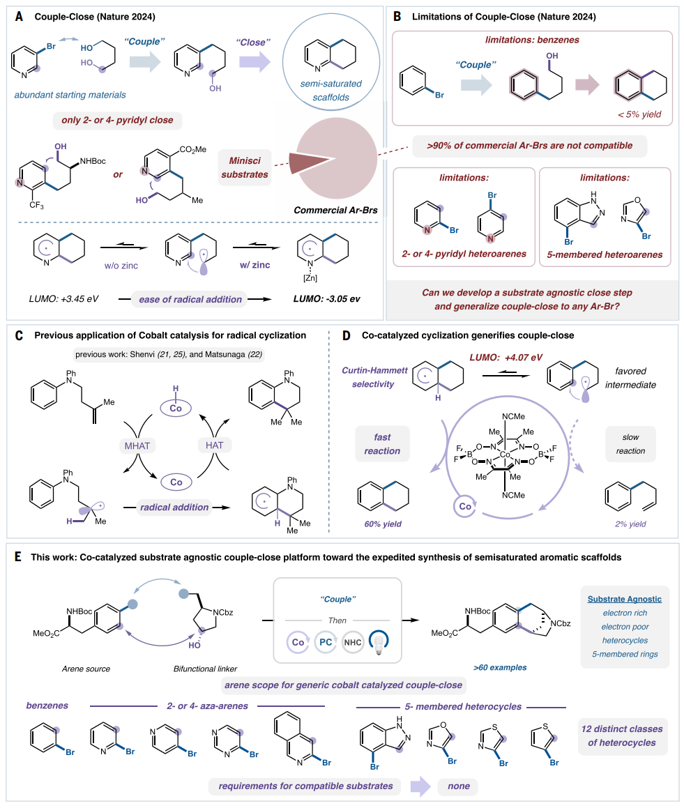 1769478503610679.png 1769478503610679.png