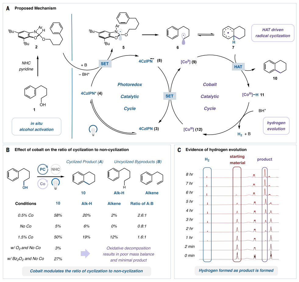 1769478516326650.png 1769478516326650.png