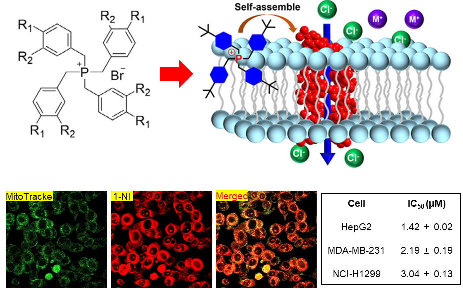 1769589192721236.png 1769589192721236.png