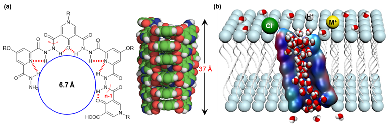 1769589225148892.png 1769589225148892.png