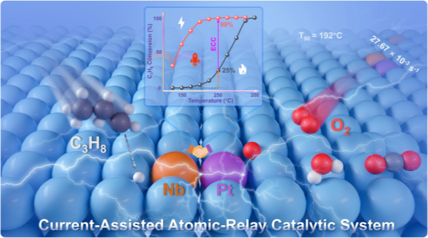 1769589931598513.png 2_副本.png