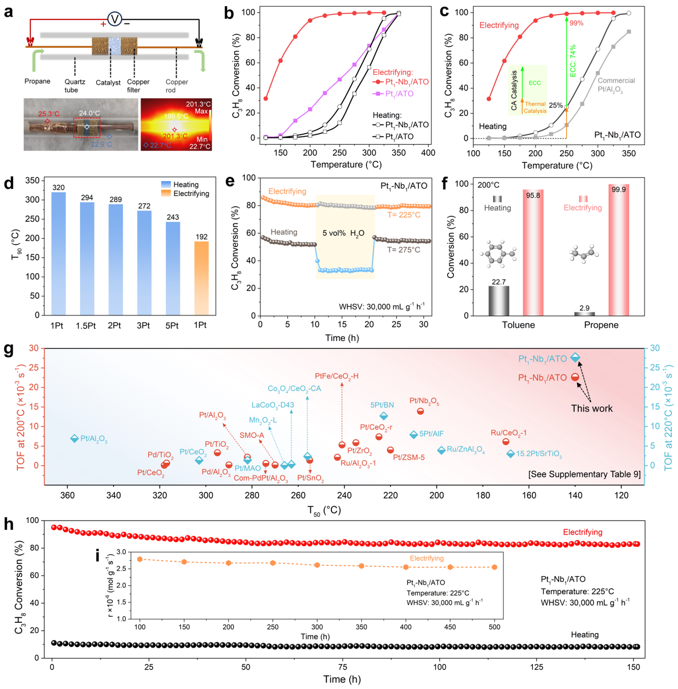 1769589953888995.png 1769589953888995.png