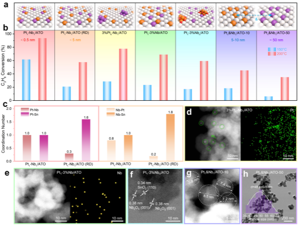 1769589989251777.png 5_副本.png