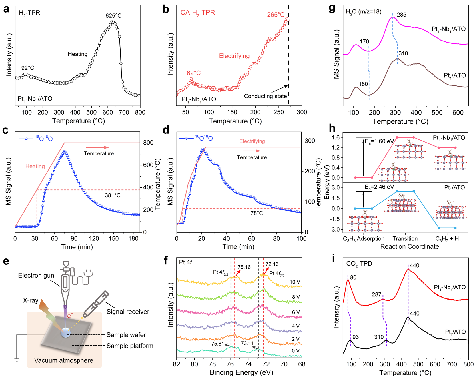 1769590008455960.png 1769590008455960.png